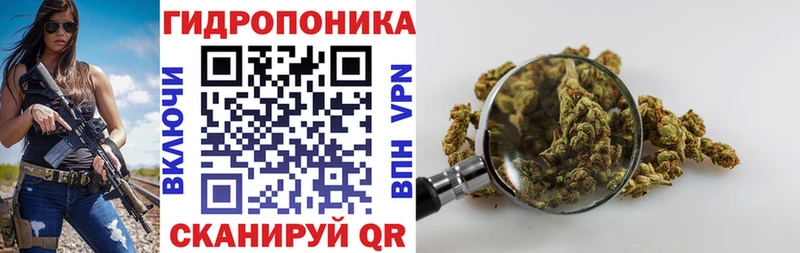 МАРИХУАНА ГИДРОПОН  что такое   Сельцо 